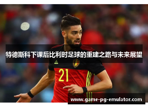 特德斯科下课后比利时足球的重建之路与未来展望