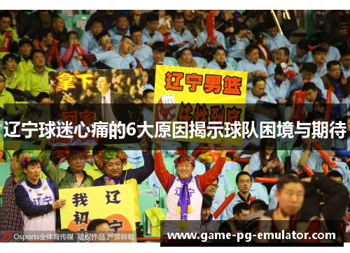 辽宁球迷心痛的6大原因揭示球队困境与期待