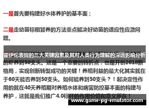 霍伊伦表现的三大关键因素及其对人类行为理解的深远影响分析
