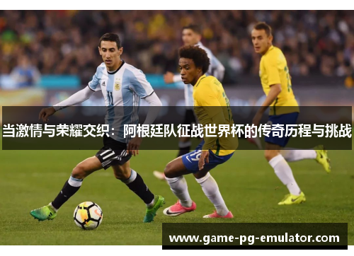 当激情与荣耀交织：阿根廷队征战世界杯的传奇历程与挑战