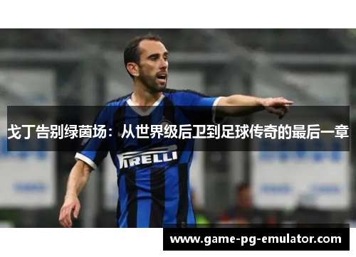 戈丁告别绿茵场:从世界级后卫到足球传奇的最后一章 戈丁告别绿茵场:从世界级后卫到足球传奇的最后一章