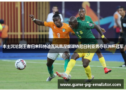 本土沉沦到王者归来科特迪瓦凤凰涅槃逆转尼日利亚勇夺非洲杯冠军